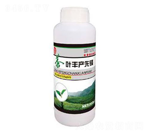 茶葉豐產(chǎn)先鋒 泰玉肥業(yè)